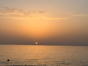 F13A84C9-0D54-4DCB-B8D1-DF0ACE09634A_1_105_c