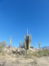 DSC06866