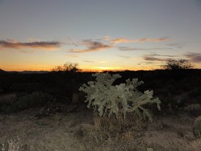 DSC07156